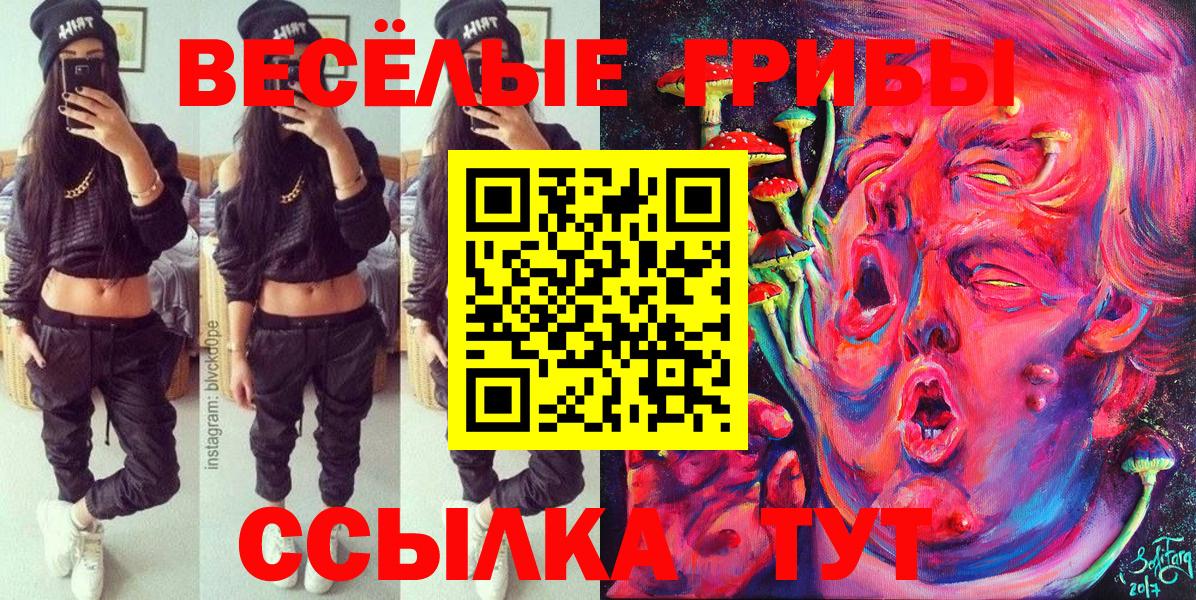 Галлюциногенные грибы Psilocybine cubensis Нефтеюганск