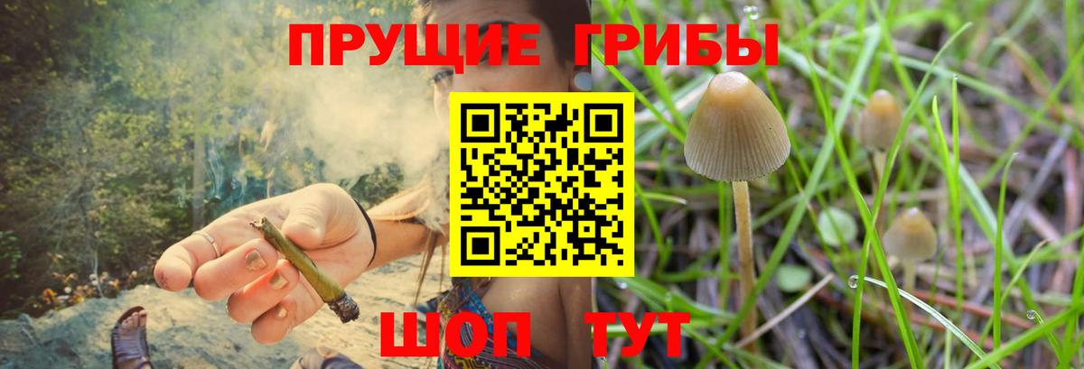 Псилоцибиновые грибы Psilocybe  Вход с VPN  где можно купить наркотик  Нефтеюганск 